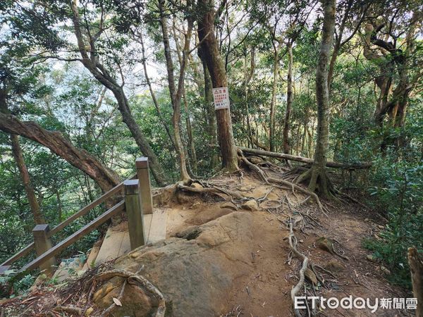 ▲68歲婦北德拉曼山迷路　獨睡一晚陡坡險崩潰：只想趕快下山。（圖／記者陳凱力翻攝）