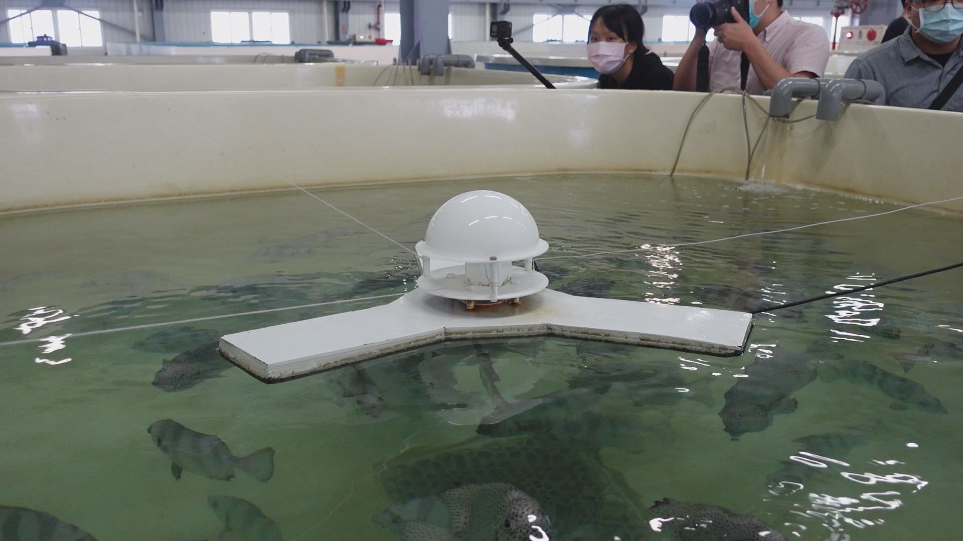 ▲▼好食好事,日東科技,風味魚。（圖／好食好事基金會提供）