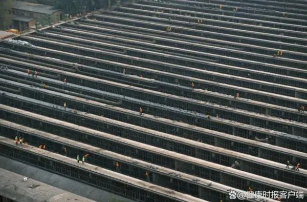 ▲▼「重點保護建築」也拿來蓋方艙！鄭州稱「文物局已同意」惹火網友。（圖／翻攝健康時報）