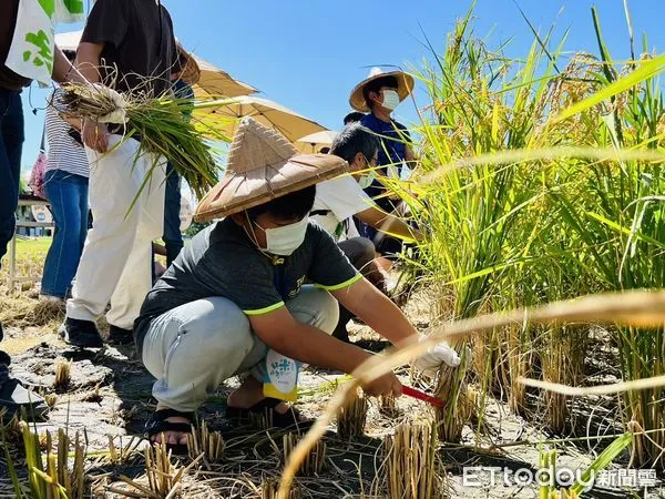 ▲關山米國學校舉辦的小農夫親子體驗活動。（圖／記者楊漢聲翻攝）