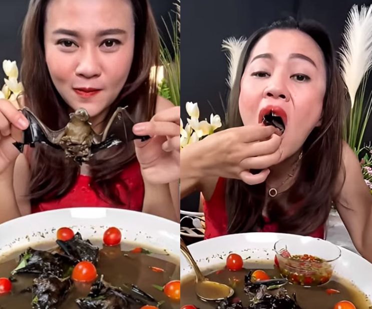 ▲泰國網美蓬恰諾（Phonchanok Srisunaklua）吃蝙蝠被罵爆。（圖／翻攝自泰網）