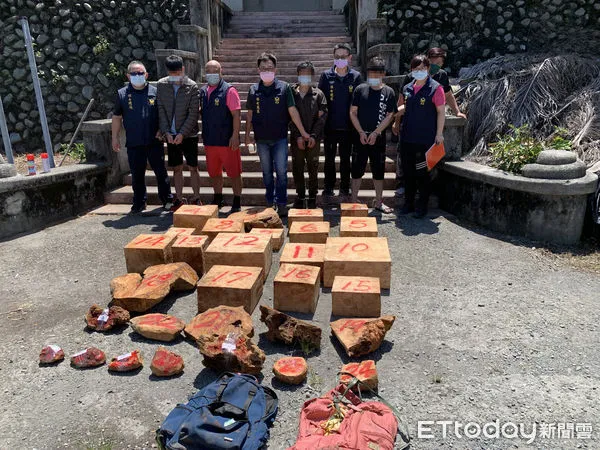▲檢、警、移、林等單位聯手破獲2起失聯外籍移工參與之紅檜樹瘤、台灣扁柏盜伐集團。（圖／記者高堂堯翻攝，下同）