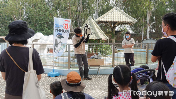 ▲台南學甲頑皮世界野生動物園，舉辦第1屆頑皮世界大統領選拔賽，推舉6大明星物種擔任候選人，候選人旗海飄揚，成為台南學甲另類的選舉盛事。（圖／記者林悅翻攝，下同）