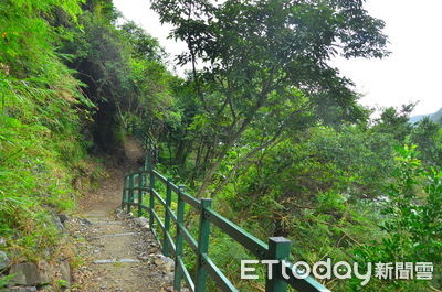 小錐麓步道重新開放！東、西段2種體驗　地景絕美生態豐富