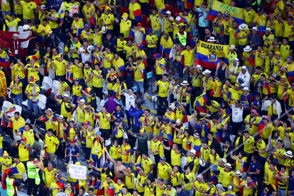 ▲▼2022卡達世界盃，地主國卡達開幕賽對戰厄瓜多，2:0落敗。（圖／路透）