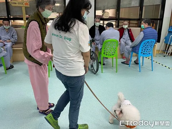 ▲南投動保自治條例三讀通過，規定飼主帶寵物外出須使用繫繩等。（圖／資料照片，台中榮總埔里分院提供）