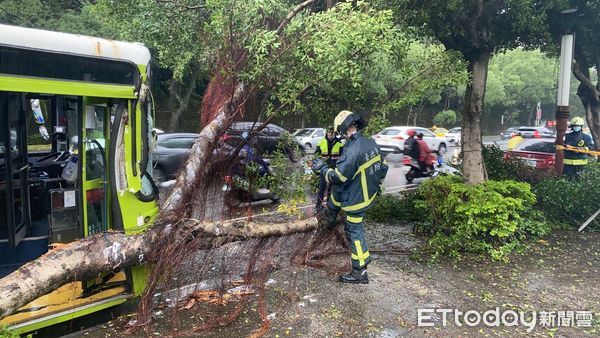 ▲▼士林區中山北路5段公車車禍。（圖／記者黃宥寧翻攝）