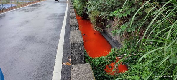 ▲彰化灌溉溝渠被染成紅色。（圖／縣議員曹嘉豪提供）