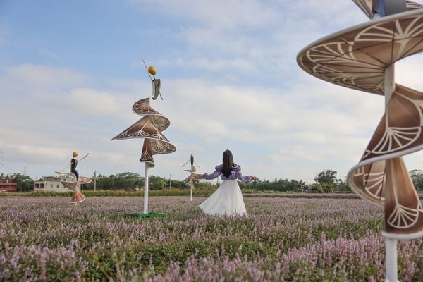 ▲2022桃園仙草花節11/27浪漫登場