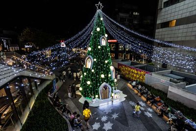 「北歐麋鹿聖誕樹」降臨中山站！燈海隧道超夢幻　12／10有音樂會