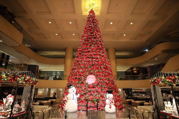 ▲台北晶華酒店近15公尺聖誕樹亮燈。（圖／台北晶華酒店提供）