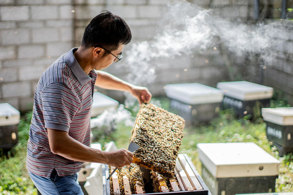 ▲▼苗栗蜜蜂生態秘境「蜜鄉養蜂園」，除了更認識蜜蜂的重要，也能品嚐美味蜂蜜甜點飲料。（圖／台灣休閒農業發展協會提供）