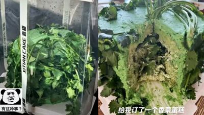 收到閨蜜特製的「香菜生日蛋糕」！她見整把菜葉插上面樂歪：友情一輩子不變