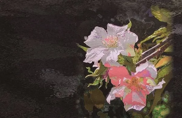 ▲梁玉珍布纖維創作個展A8藝文中心展出。（圖／文化局提供）