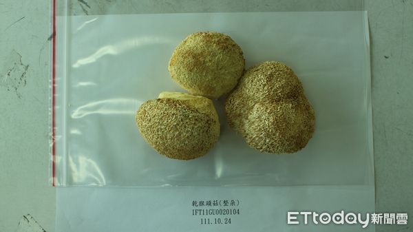 ▲▼中國大陸出口「乾猴頭菇(整朵)」檢出農藥殘留含量不符規定。（圖／食藥署提供）