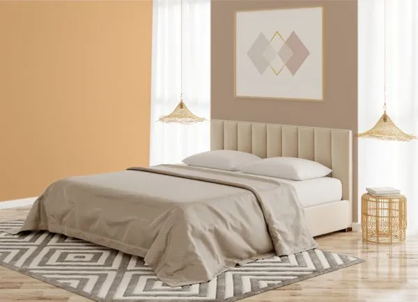 ▲▼特力屋,油漆,調色,網站,小吃,服務,居家。（圖／業者提供）