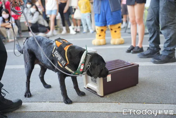 ▲萌翻了！台中警犬桌曆開賣千本30分鐘賣光，５隻毛警官秒募20萬。（圖／記者游瓊華翻攝）