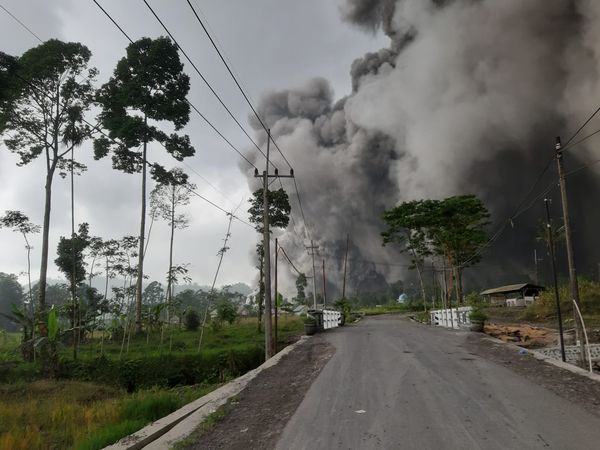 ▲▼印尼塞梅魯火山（Mt Semeru）噴發，當局配發口罩給民眾。（圖／翻攝推特「@BPBDLumajang」）