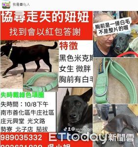 毛小孩走失60天 主人持續協尋不放棄