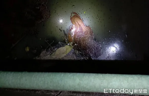 ▲▼大寮偷排污水             。（圖／記者陳宏瑞攝）