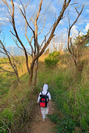 ▲▼台中竹坑南寮登山步道。（圖／由飛天璇的口袋提供，請勿隨意翻拍，以免侵權。）