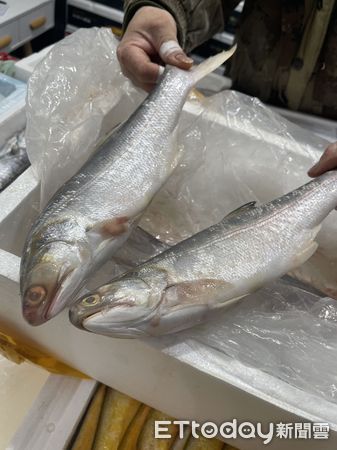 ▲▼ 北京海鮮市場賣台灣屏東午仔魚            。（圖／記者任以芳攝）