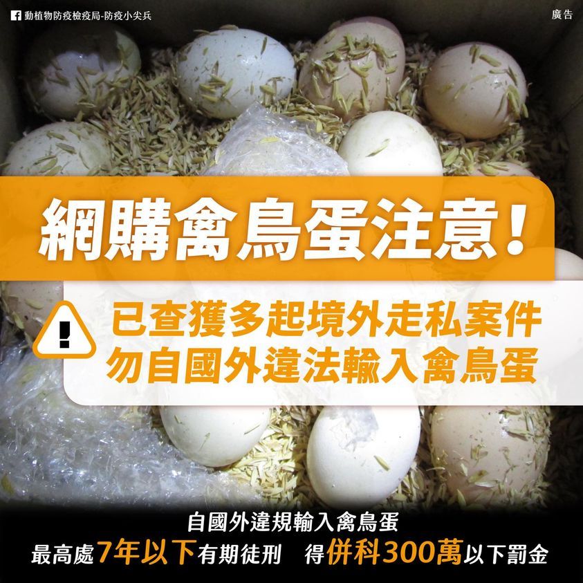 ▲防檢局提醒從境外購買禽鳥蛋將觸法。（圖／農委會防檢局提供）