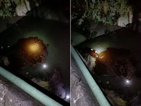 ▲▼惡劣廠商偷排廢油，居民被臭翻。（圖／大寮里長當選人蕭清翔提供）