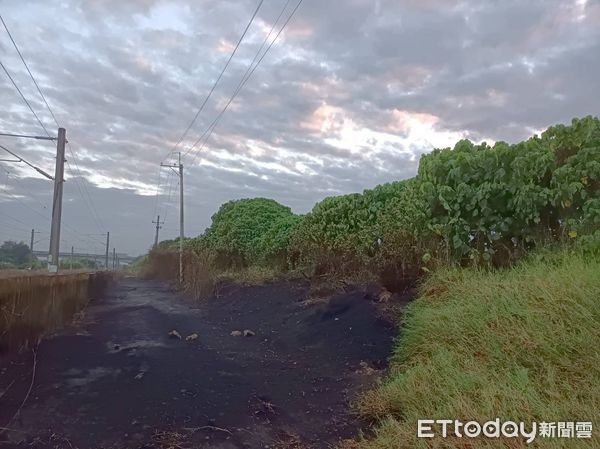 ▲台南林鳳營至隆田之間的鐵道旁下午發生野草火警，大量的濃煙危及台鐵136次普悠馬列車行車安全，經台南市消防人員全力滅火，幸好僅延誤15分鐘。（圖／民眾提供，下同）