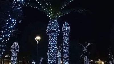 聖誕節要來了！他見路樹苦勸「椰子樹拜託別裝LED燈」　網震撼：完成度好高