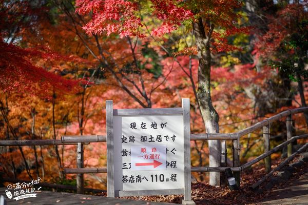 ▲▼北野天滿宮楓葉季（圖／滿分的旅遊札記提供）