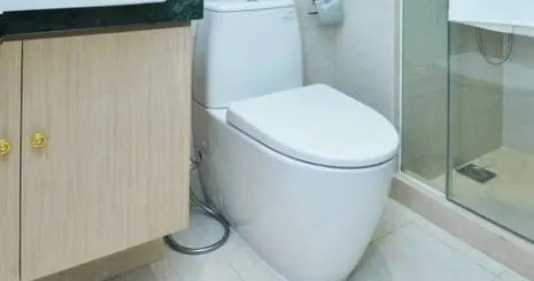 原PO同事說，婆婆規定馬桶要3小1大才能沖水。（示意圖／pexels）