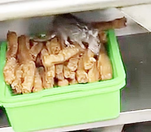 ▲有網友在桃園區某豆漿店用餐時竟發現後方竟有「料理鼠王」當眾大啃油條。（圖／翻攝自臉書《爆廢公社二館》）