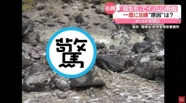 日本著名「殺生石」恐怖詛咒再現！「8死屍」橫躺現場，官方：不尋常。（翻自《日本電視台》YT）