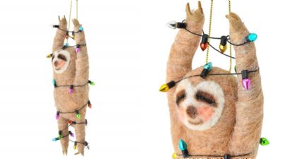 樹懶高舉雙手被聖誕燈串綑綁！羞羞姿勢+享受表情讓網全想歪：不可以色色