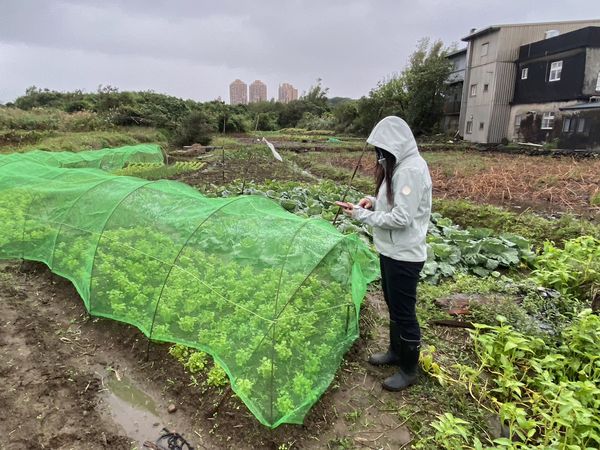 ▲保障農友權益 新北農情調查獲分組第1名。（圖／新北市農業局提供）