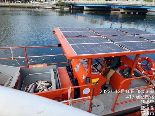 ▲▼ 高雄幸福川驚現爆量「魚浮屍」…網看傻眼，背後原因曝光。（圖／記者賴文萱翻攝）