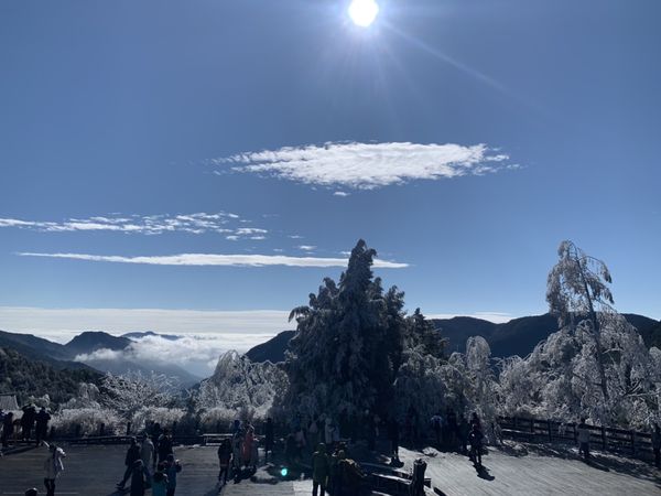 ▲▼太平山國家森林遊樂區霧淞。（圖／羅東林管處提供）