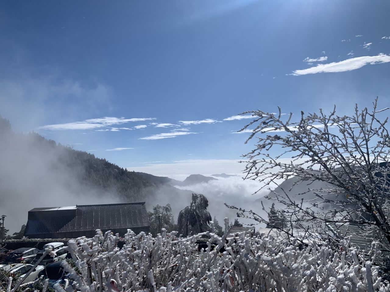 宜蘭太平山-5度!山上結霧淞變銀白世界 思源埡口也有霧淞美景 | ETtoday旅遊雲 | ETtoday新聞雲