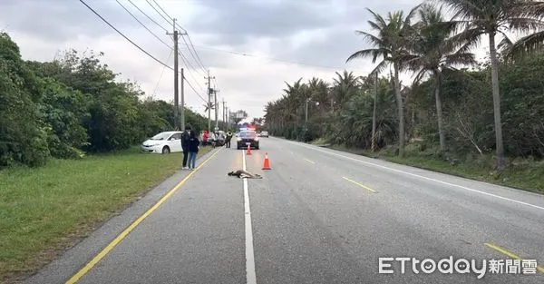 ▲梅花鹿突然草叢竄出，駕駛閃避不及，直接撞上，梅花鹿當場死亡。（圖／記者楊漢聲翻攝）