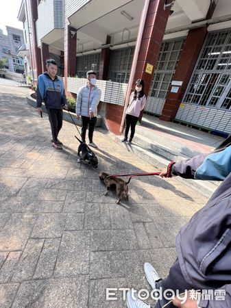 ▲教室、操場出現各種動物超療癒，學生不再想打瞌睡，雲林大成商工辦理生命教育寵物日活動，讓學生把自家養的寵物帶來學校上課。（圖／記者蔡佩旻翻攝）