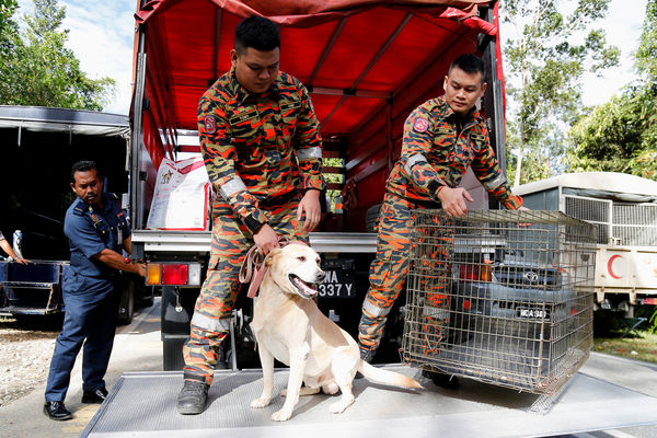 ▲▼馬來西亞山崩，搜救犬。（圖／路透社）