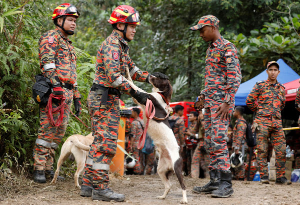 ▲▼馬來西亞山崩，搜救犬。（圖／路透社）