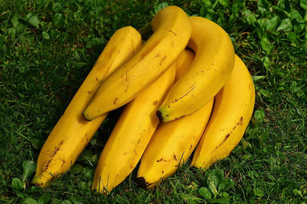 香蕉有黑斑是自然現象，並非發霉。（示意圖／翻攝自pixabay）