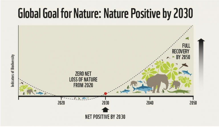 ▲▼這次COP15讓各締約國確實履行「2020年後全球生物多樣性綱要」，在2050年之前邁向「自然正成長（Nature Positive）」的目標。（圖／台灣科技媒體中心提供）