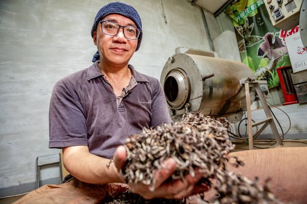 ▲新北好茶榮獲國際四大獎項 讓世界看見台灣製茶技術。（圖／新北市農業局提供）