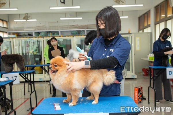 美容師檢定。（圖／攝影劉佳翔攝）