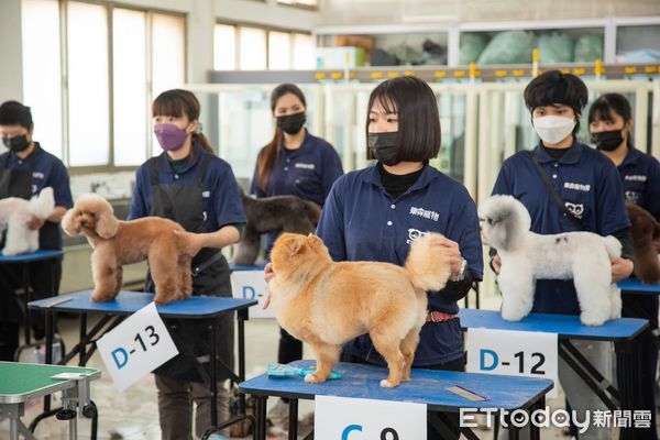 東森寵物美容師考核　教育美容長劉淑蕙：先照顧健康再整理漂亮 | ETto