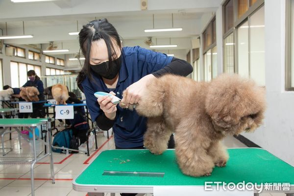 美容師檢定。（圖／攝影劉佳翔攝）