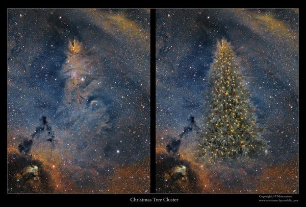 ▲台北天文館打造出「杉林雪夜」夢幻烏托邦,NGC2264又被稱為「宇宙聖誕樹」。（圖／臺北市立天文科學教育館）